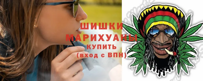 Канабис SATIVA & INDICA  Луга 